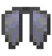 Elytra